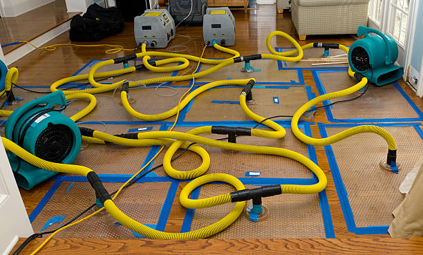 Professional Water Extraction technician working in Rodney, MI